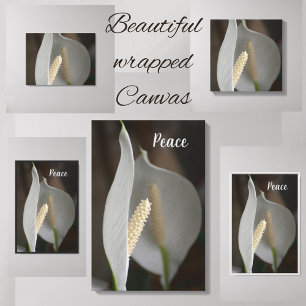 Toile White Peace Lily Floral Élégante photographie
