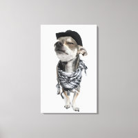 Wide-angle of a Chihuahua with his eyes closed