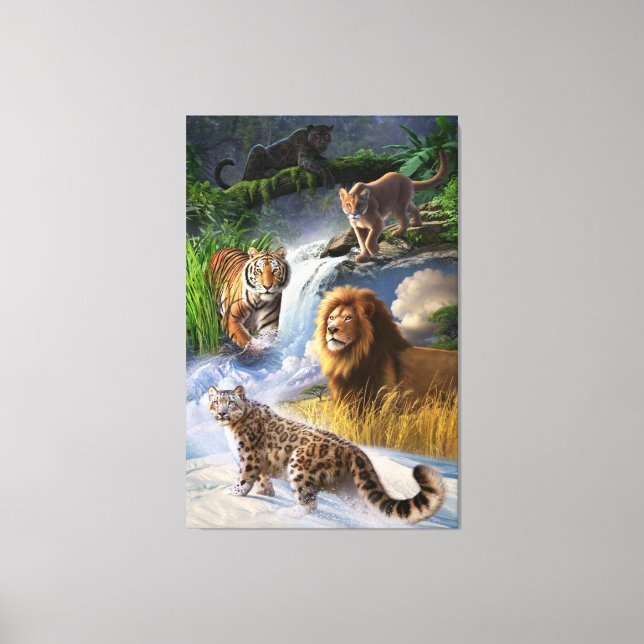 Toile Wildcats (Recto)
