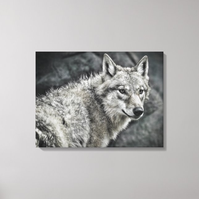 Toile WOLF：Canvas Print (Recto)