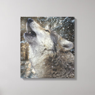 Toile Wolf Song - Pastel