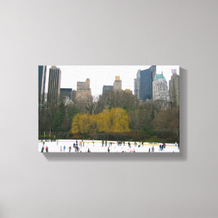 Toile Wollman Rink Central Park New York City NYC