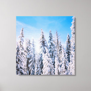 Toile Wonderland Pine Trees en Neige
