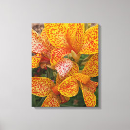 Toile Yellow Canna Lily with Red Speckles Floral