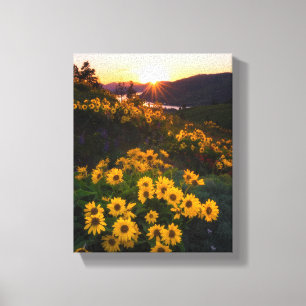 Toile Yellow Hardy Sunflower Meilleures photos de tourne