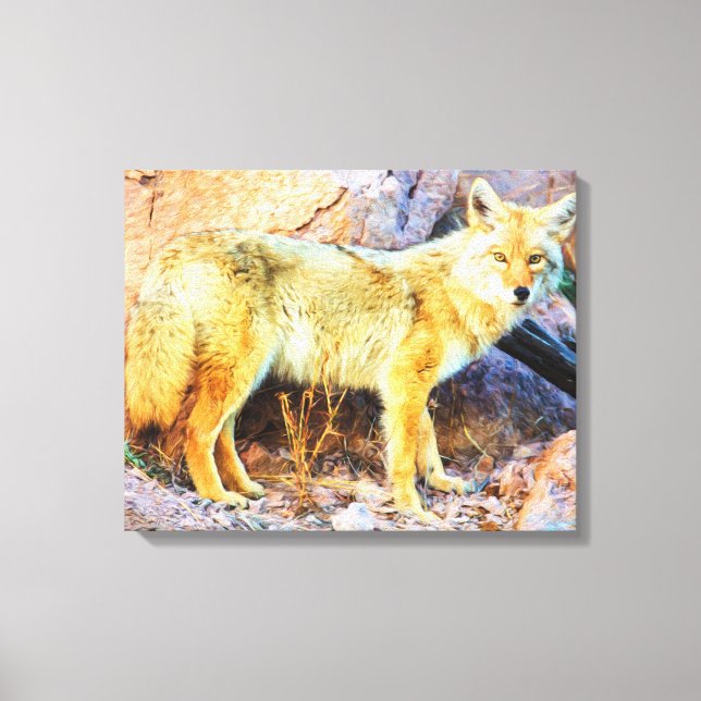 Toile Yellowstone Coyote (Recto)