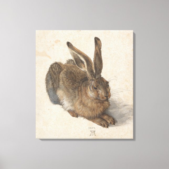 Toile Young Hare Albrecht Durer (Recto)