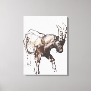 Toile Young Ibex Gran Paradiso 2005