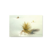 Yucca à White Sands