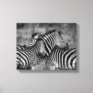 Toile Zebra Family