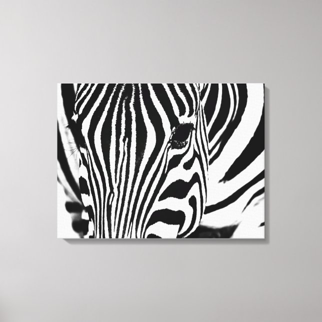 Toile Zebra portrait noir et blanc (Recto)