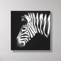Zèbre en noir et blanc