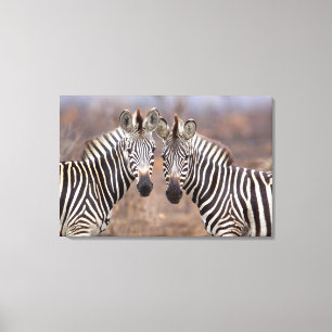 Toile Zèbres des plaines, parc national Kruger