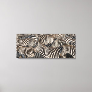 Toile Zèbres, Kenya, Afrique