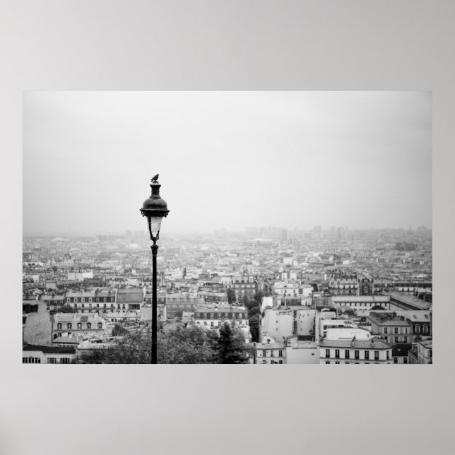 Toits du Paris - Poster (Devant)