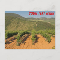 Tokaj Weinberge, Ungarn, anpassbare Postkarte
