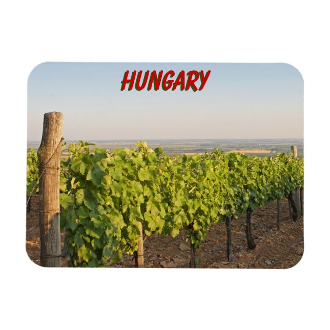 Tokaj Weinberge, Ungarn Magnet (Horizontal)