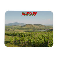 Tokaj Weinberge, Ungarn