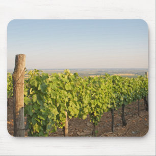 Tokaj Weinberge, Ungarn Mousepad