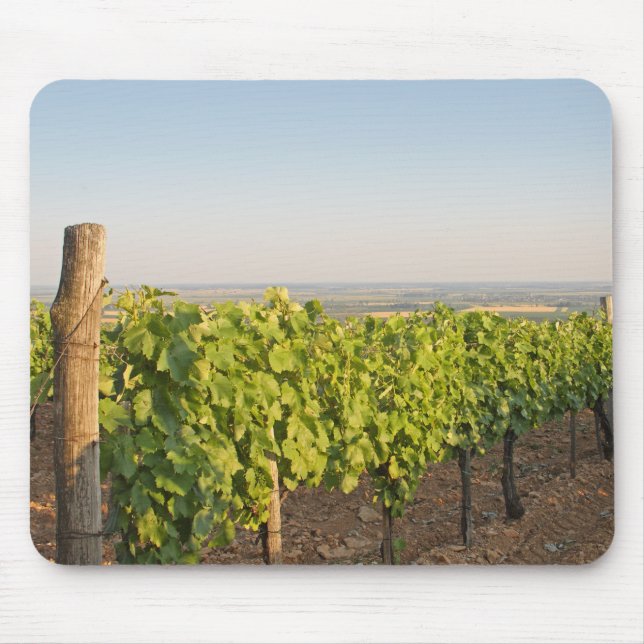 Tokaj Weinberge, Ungarn Mousepad (Vorne)