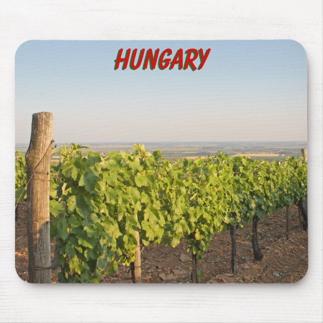 Tokaj Weinberge, Ungarn Mousepad (Vorne)