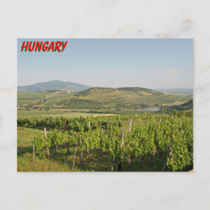 Tokaj Weinberge, Ungarn Postkarte