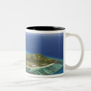 Tokoriki-Insel, Mamanuca-Inseln, Fidschi Zweifarbige Tasse