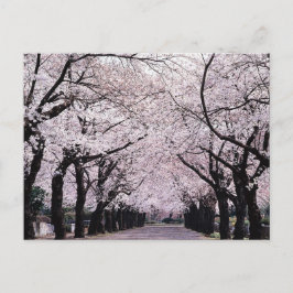 TOKYO POSTKARTE