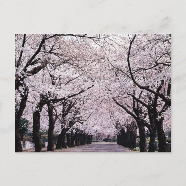 TOKYO POSTKARTE (Vorderseite)