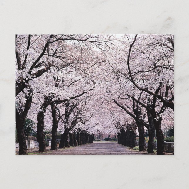 TOKYO POSTKARTE (Vorderseite)