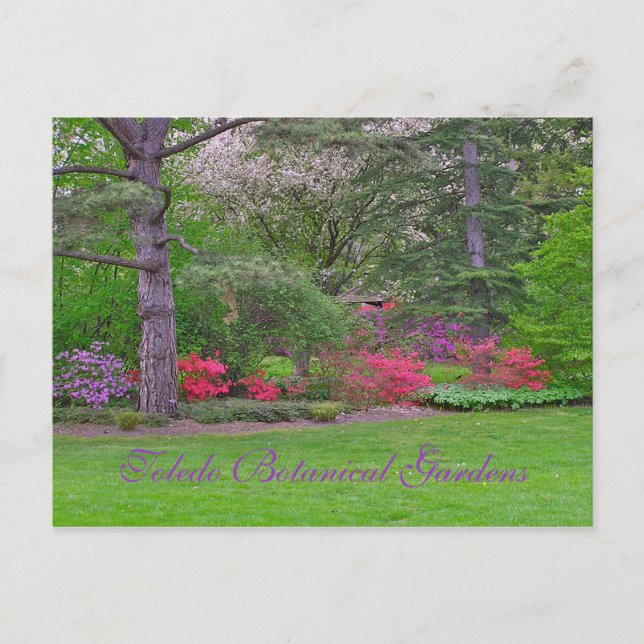 TOLEDO BOTANISCHE GARTEN, SPRING, POSTKARTE (Vorderseite)