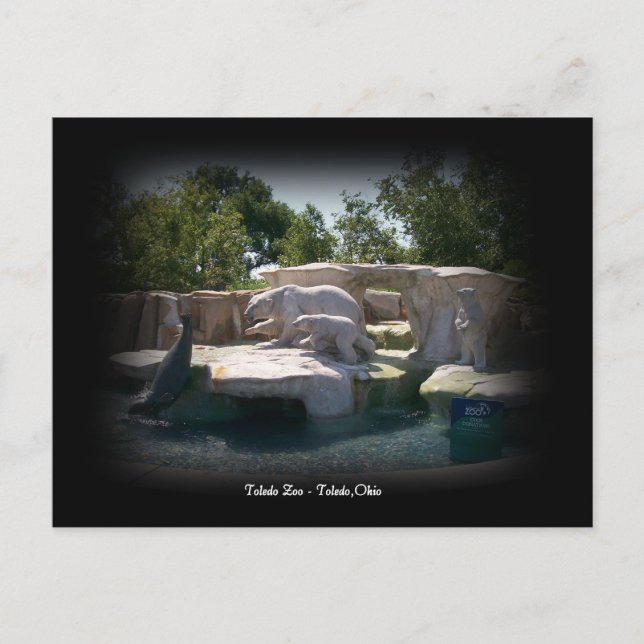 Toledo Zoo Polar Bear Statue Postcard Postkarte (Vorderseite)
