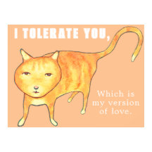 Tolerant Apathetic Orange Cat