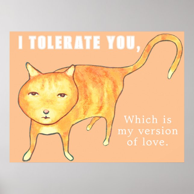 Tolerant Apathetic Orange Cat Poster (Vorne)