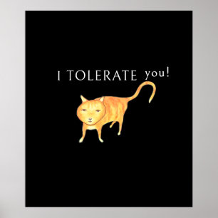 Tolerante apathische orange Katze Poster