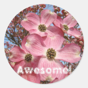 Toll! Aufkleber Rosa Dogwood Blumen Natur
