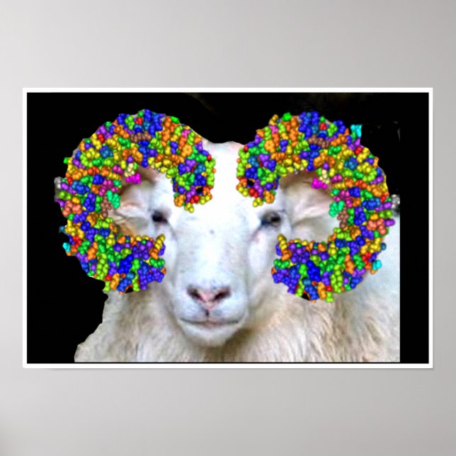 Toll-like Ram Poster (Vorne)