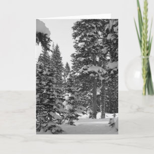 Toll, von dir zu hören! Nach Weihnachten