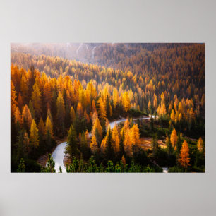 Tolle Aussicht auf die kurvenreiche Straße. Dramat Poster