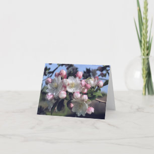 Tolle Blüten Blumenfotografie