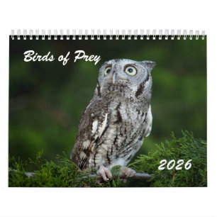 Tolle Greifvögel 2026 Fotokalender Kalender
