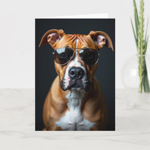 Tolle Karte für den Hundepapi-Tages