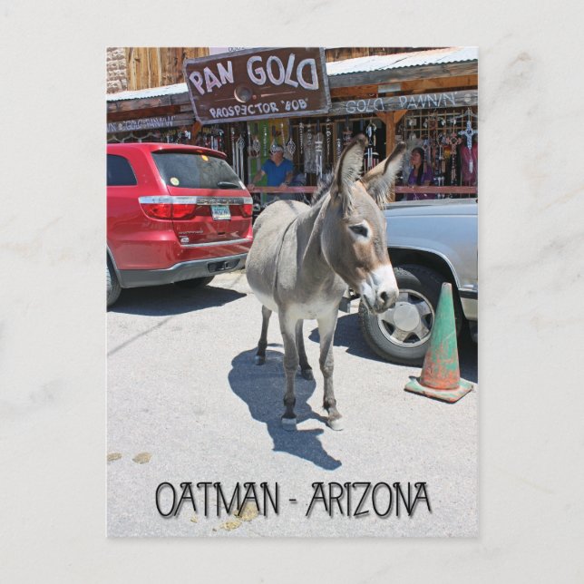 Tolle Oatman Postcard! Postkarte (Vorderseite)