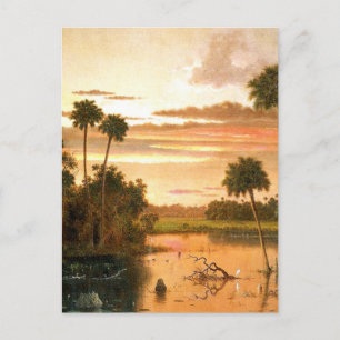 Toller Florida-Sonnenuntergang, feine Kunstmalerei Postkarte