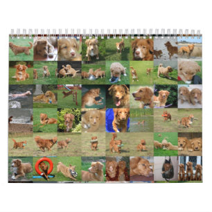 Toller-Kalender Kalender