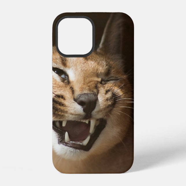 Toller Luchs iPhone 12 Hülle (Rückseite)