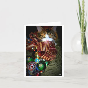 tolles Weihnachten