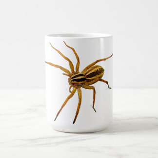 Tollwütige Wolfsspinne (Rabidosa rabida) Kaffeetasse