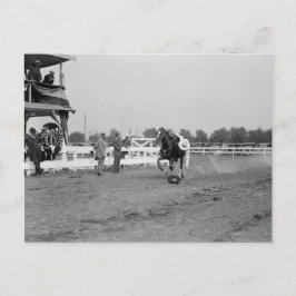 Tom Mix sammelt einen Hut Postkarte