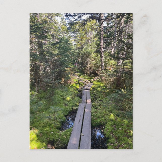 Tom New Hampshire Postcard Postkarte (Vorderseite)